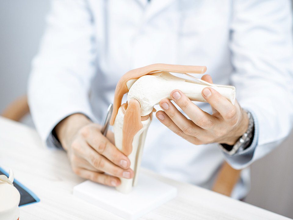 Articulação do joelho